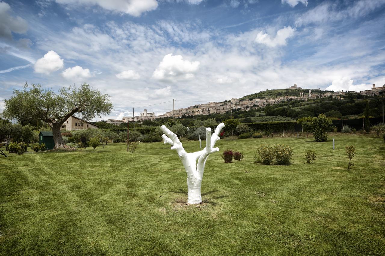 Tenuta San Masseo - Boutique Farm Resort & Spa Assisi Eksteriør bilde